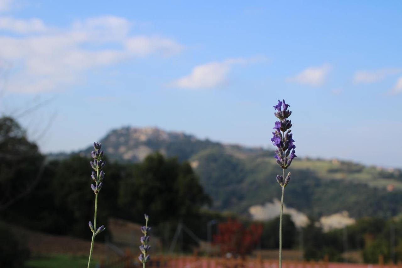 Casale Fontanile Bed And Breakfast Smerillo Exterior foto