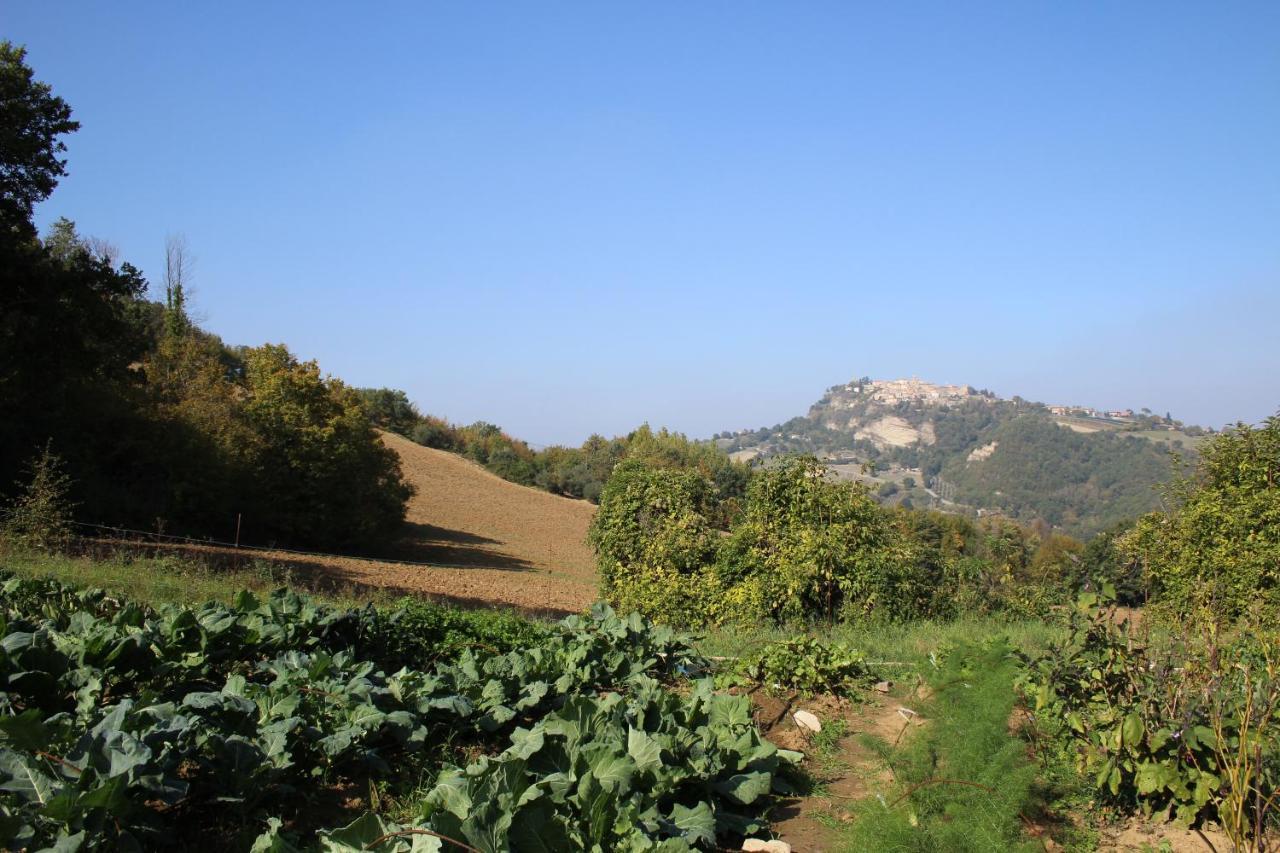 Casale Fontanile Bed And Breakfast Smerillo Exterior foto
